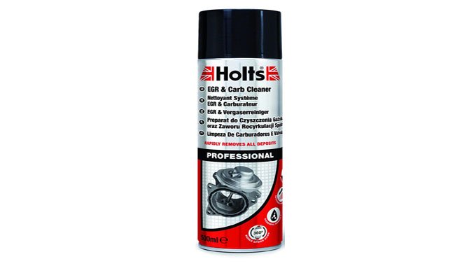 Holts EGR & Carb Cleaner