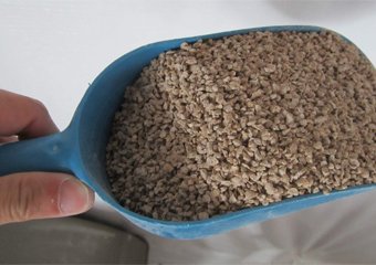 How To Stop Cat Litter From Smelling
