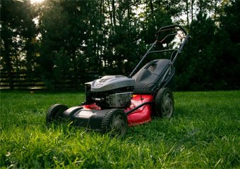 When To Cut Grass